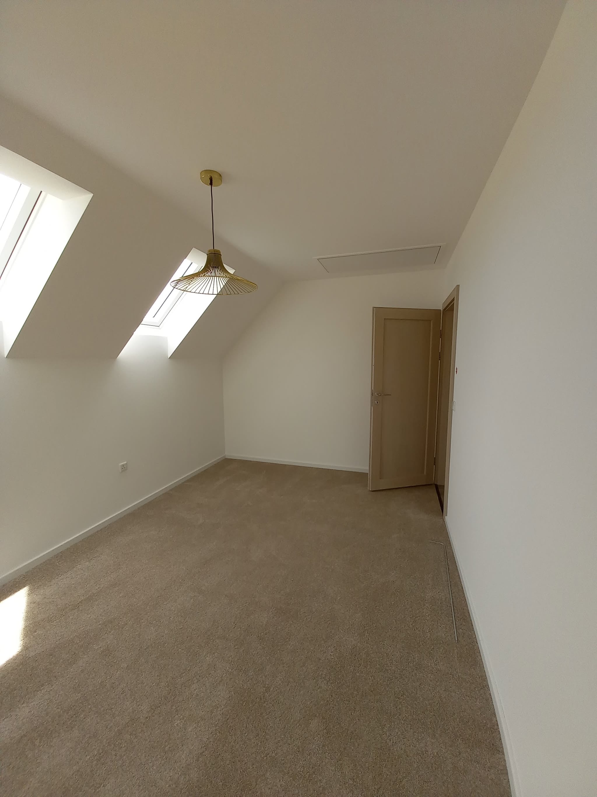 Section Illustration