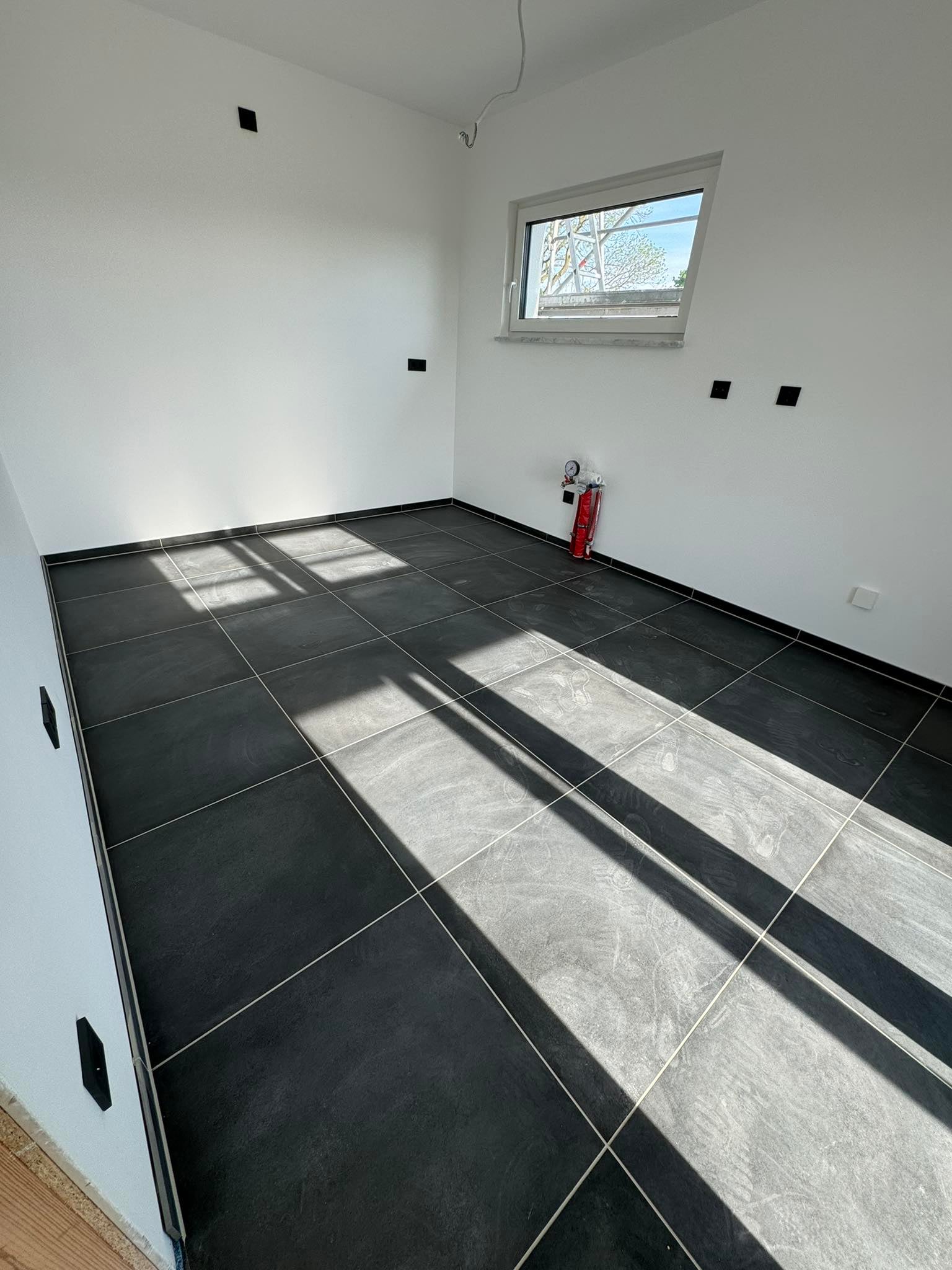 Section Illustration