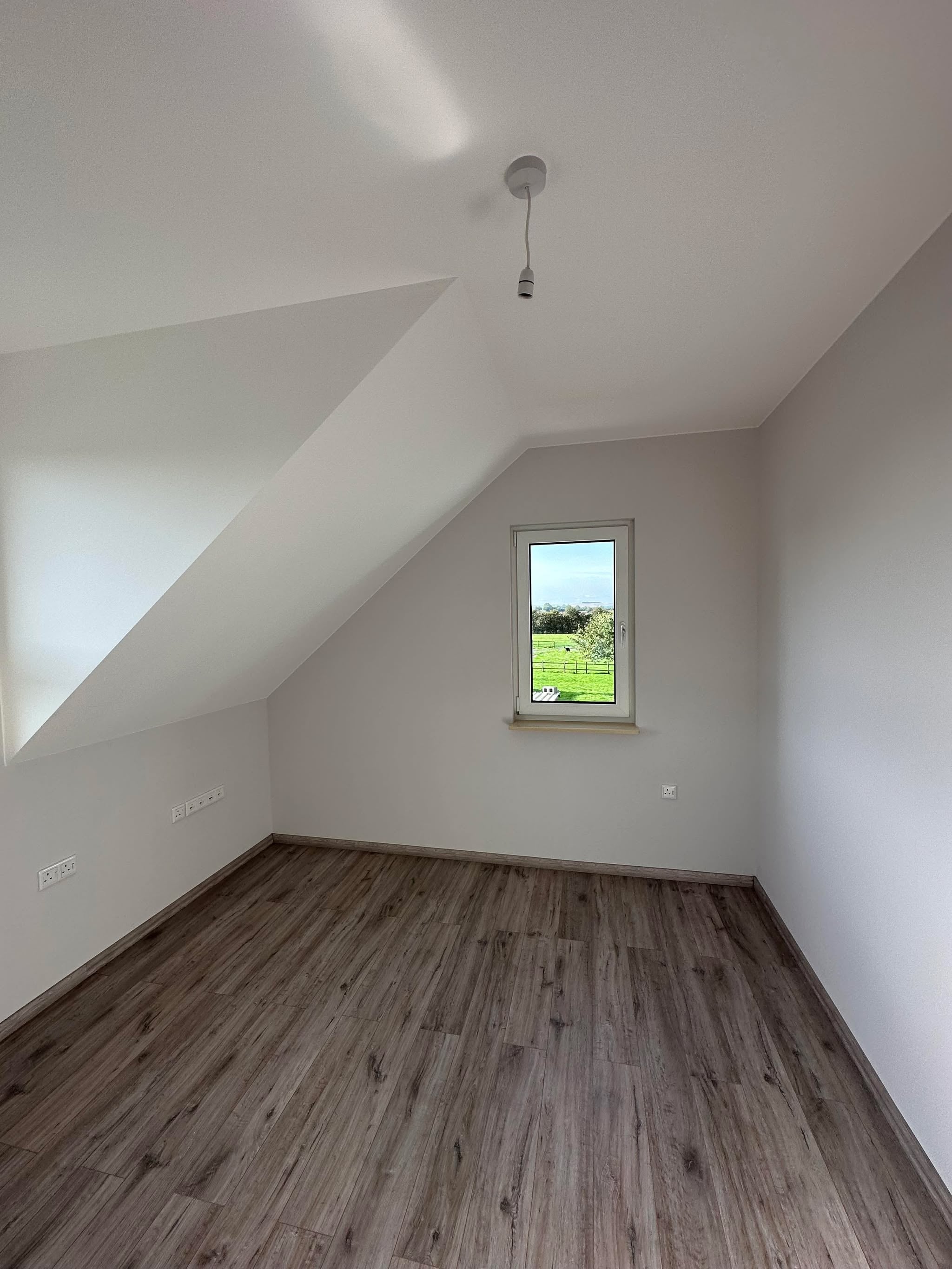 Section Illustration